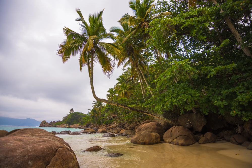 transfers z Ilha Grande